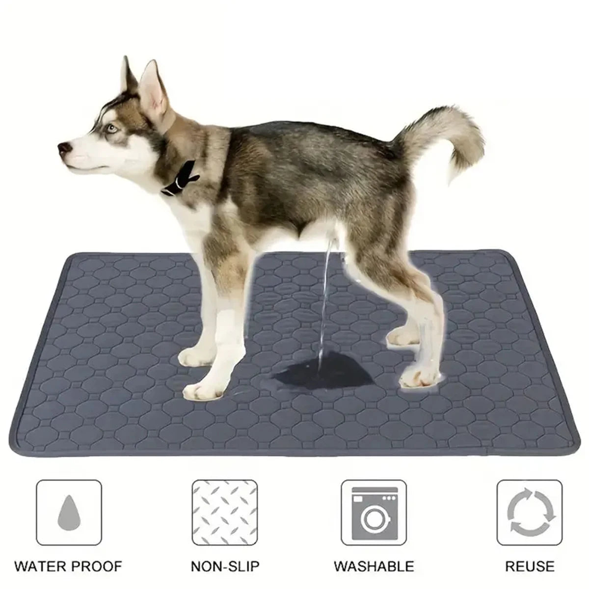 PawComfort Absorbent Puppy Toilet Mat